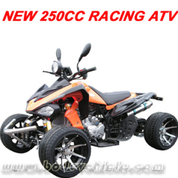 ATV Rennen. Quad (MC-387)